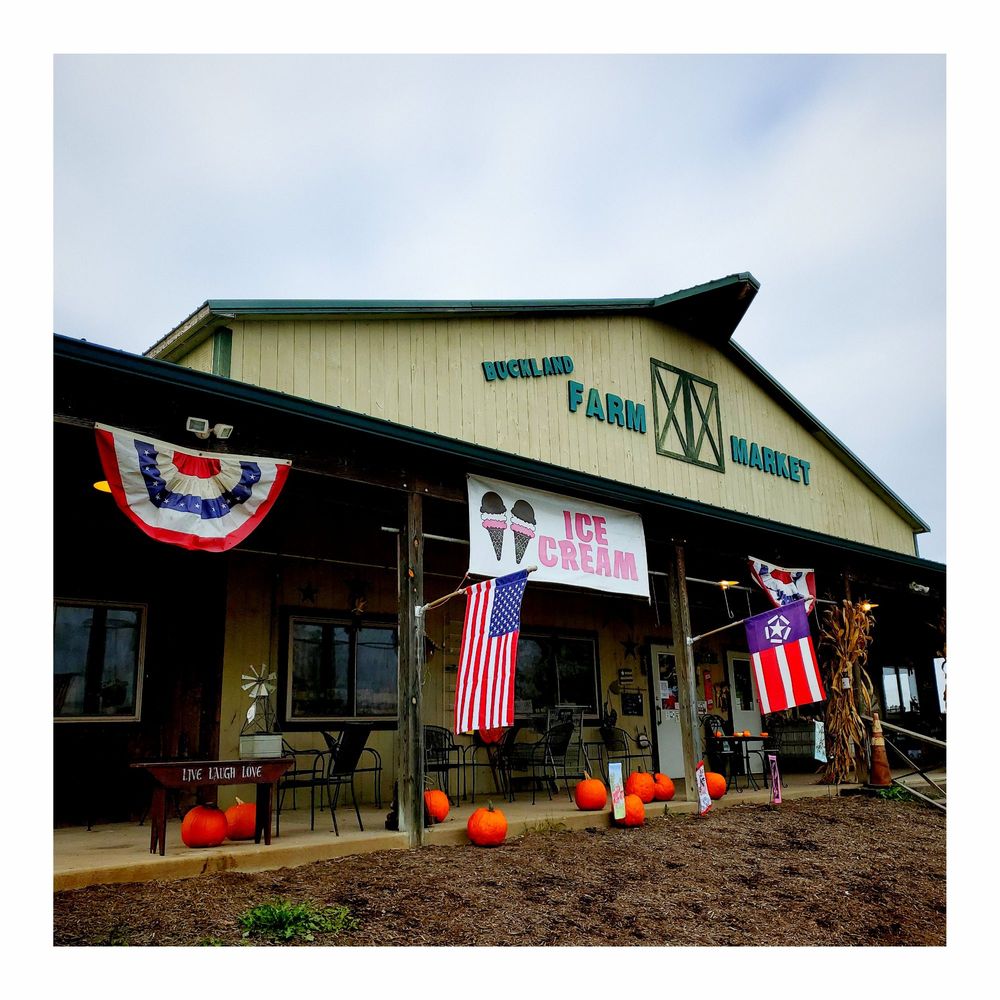 BUCKLAND FARM MARKET 84 Photos & 54 Reviews Farmers Market 4484