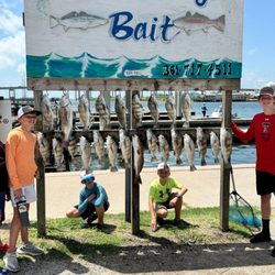 Bills And Gills Guide Service