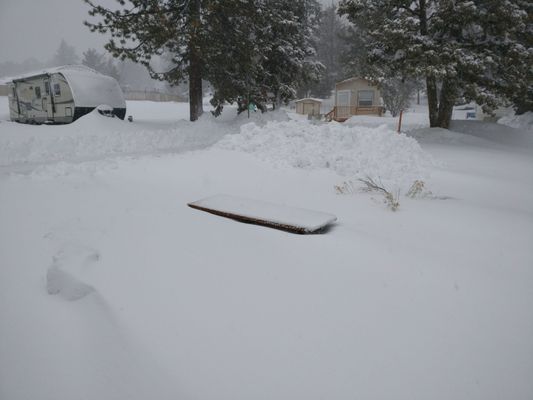 PINE TREE RV PARK - Updated January 2025 - 14 Photos & 24 Reviews