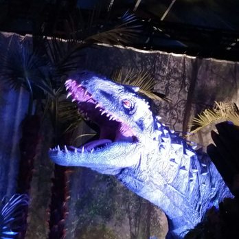 Field Museum - Museums Near Me - Chicago, Illinois