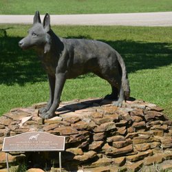 Honoring the canines.