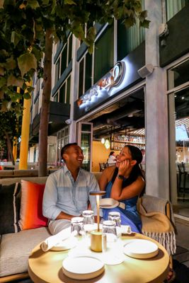 The Surfing Fox by null