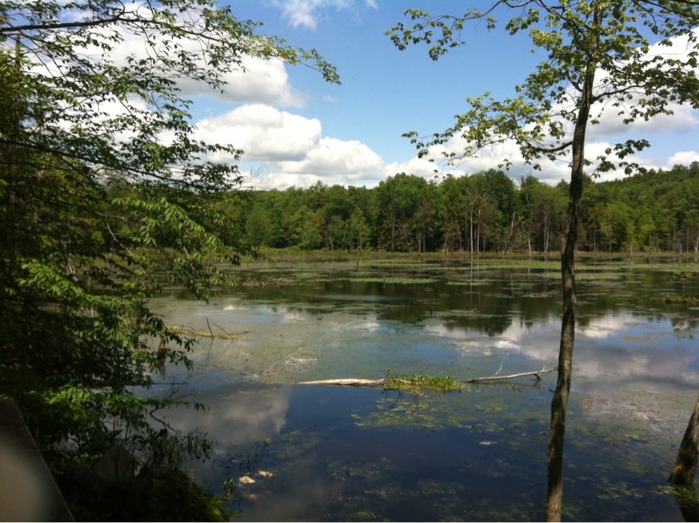 WOODBOURNE FOREST & WILDLIFE PRESERVE Updated September 2024 State