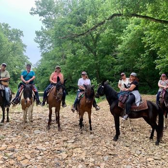 Natchez Trace Stables - Horseback Riding Near Me - Primm Springs, Tennessee Natchez Trace Stables - Horseback Riding Near Me - Primm Springs, Tennessee