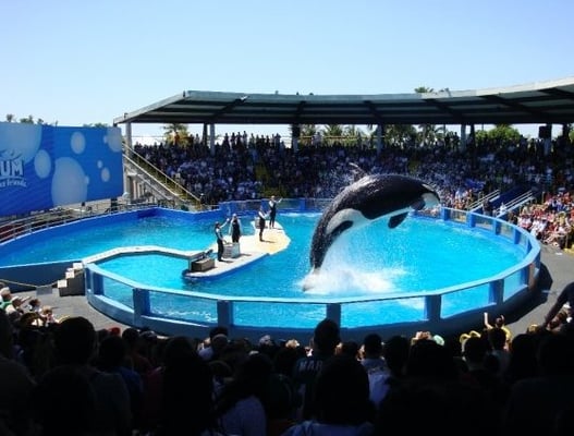 Miami Seaquarium by null