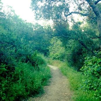 Rose Bowl Stadium - Trail - Stadiums & Arenas Near Me - Pasadena, California Rose Bowl Stadium - Trail - Stadiums & Arenas Near Me - Pasadena, California