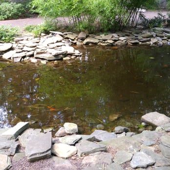 Red Wing Park - This is a pond inside the Japanese garden.  Photo taken July 17, 2016. - Dog Parks Near Me - Virginia Beach, Virginia
