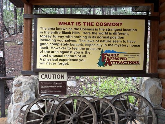 Cosmos Mystery Area by null