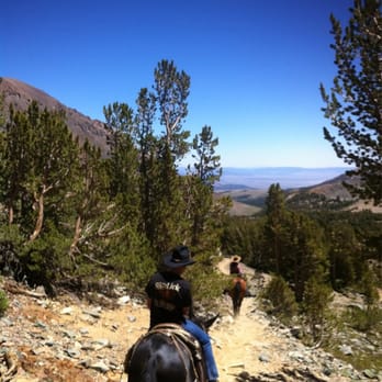 Virginia Lakes Pack Outfit - Horseback Riding Near Me - Bridgeport, California Virginia Lakes Pack Outfit - Horseback Riding Near Me - Bridgeport, California