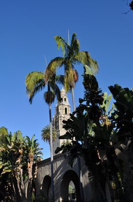Alcázar Garden by null