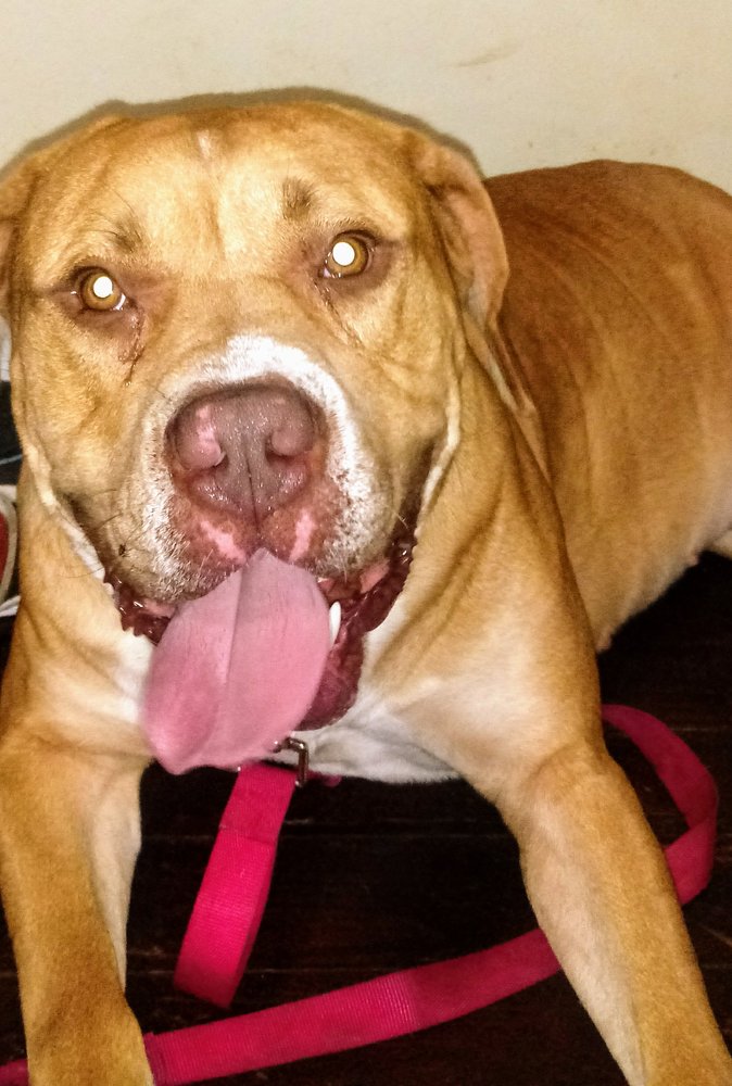 B Home Away From Home - home care agency in Augusta, GA