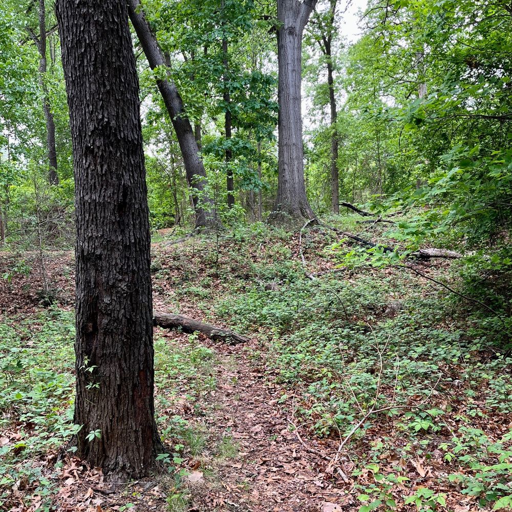 Fort Totten Park - Parks Near Me - Washington, DC, District of Columbia
