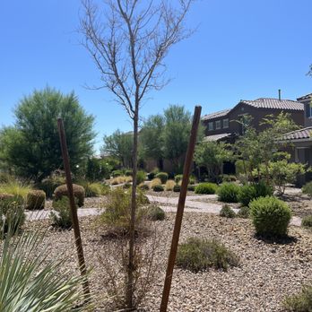 Professional Landscaping Services - Dead tree. - Landscaping Near Me Professional Landscaping Services - Dead tree. - Landscaping Near Me