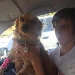 Watson back to health and going home! Watson back to health and going home!