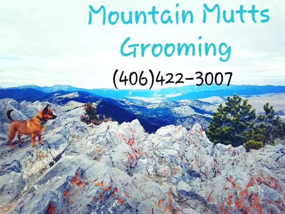 MOUNTAIN MUTTS Updated September 2024 2125 Euclid Ave, Helena