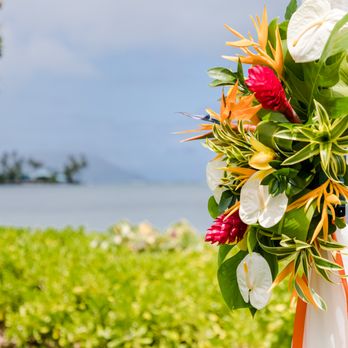 Oahu Pro Photography - Event Photography Near Me - Honolulu, Hawaii Oahu Pro Photography - Event Photography Near Me - Honolulu, Hawaii