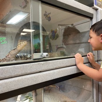 Xtreme Exotics - Reptile Shops Near Me - Jacksonville, Florida Xtreme Exotics - Reptile Shops Near Me - Jacksonville, Florida