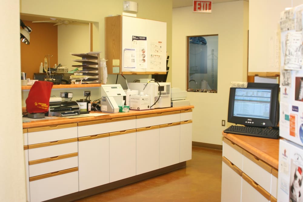 DE ANZA ANIMAL CLINIC Updated August 2024 17 Photos & 16 Reviews