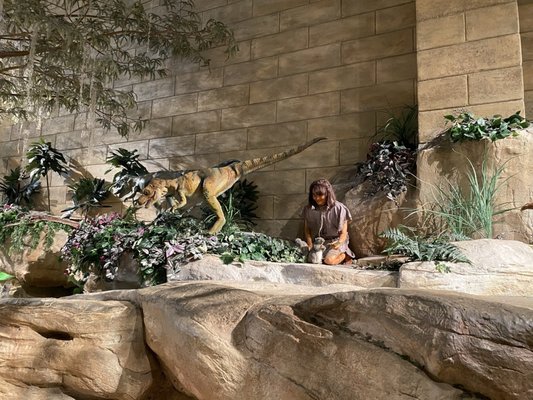 Creation Museum by null