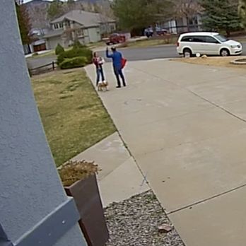 Pizza Twist - Three and a half minutes of the driver wildly gesturing at me and chastising me for living too far - Pizza Near Me - Reno, Nevada