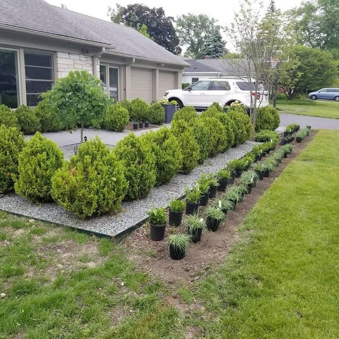 Slide of McNelly Services