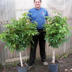 Little Eden Plantscaping