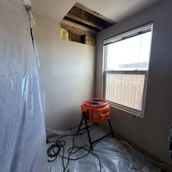 Restorex - Ceiling damage.