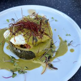 Halibut special on a bed of squash and tomatoes Halibut special on a bed of squash and tomatoes