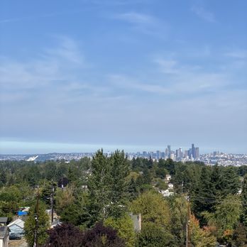 Trelstad Tree - Seattle - Tree Services Near Me - Seattle, Washington Trelstad Tree - Seattle - Tree Services Near Me - Seattle, Washington