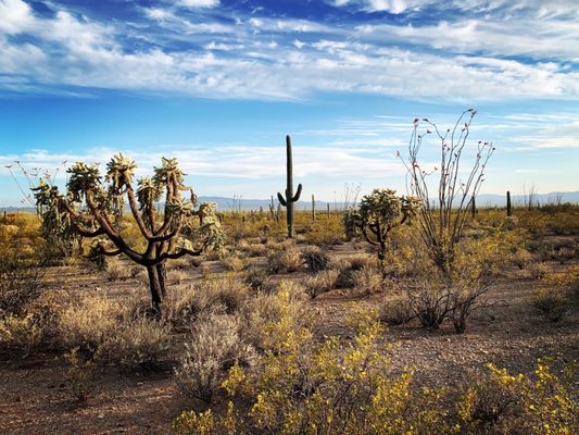 Gilbert Ray Campground by null