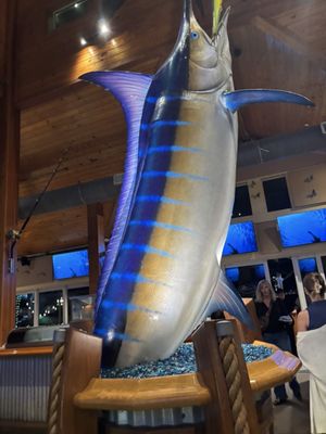 Frigate's Waterfront Bar & Grill by null