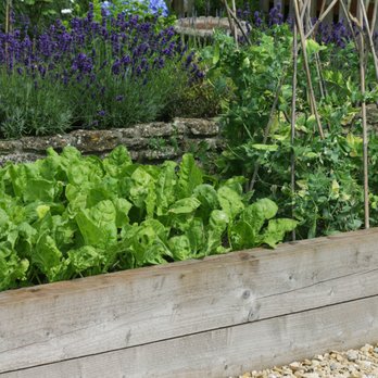 Soilutions - Nurseries & Gardening Near Me - Albuquerque, New Mexico