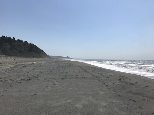 Gold Bluffs Beach Campground by null