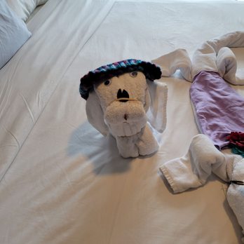 Royal Caribbean - More adorable towel art! - Travel Services Near Me - Seattle, Washington Royal Caribbean - More adorable towel art! - Travel Services Near Me - Seattle, Washington