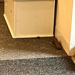 Quest Diagnostics - Cockroach.