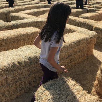 MacDonald's Ranch - Corn Maze - Horseback Riding Near Me - Scottsdale, Arizona