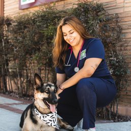 Exterior photo of La Jolla Veterinary Hospital - La Jolla, California Exterior photo of La Jolla Veterinary Hospital - La Jolla, California