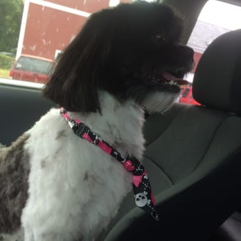 Best Pet Salon - Pet Groomers Near Me - Plymouth, Massachusetts