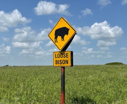 Joseph H. Williams Tallgrass Prairie Preserve by null
