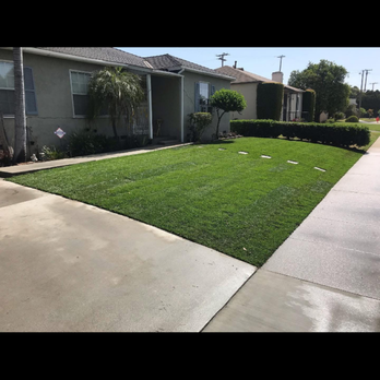 Farias Landscape & Design - Marathon II Sod Installation - Tree Services Near Me Farias Landscape & Design - Marathon II Sod Installation - Tree Services Near Me