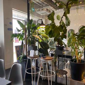 Bu Brunch - Lights plants and jazz music playing - Breakfast & Brunch Near Me - Moncton, New Brunswick Bu Brunch - Lights plants and jazz music playing - Breakfast & Brunch Near Me - Moncton, New Brunswick