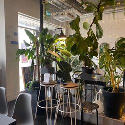Bu Brunch - Lights plants and jazz music playing