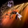 Photo of Circus Vargas