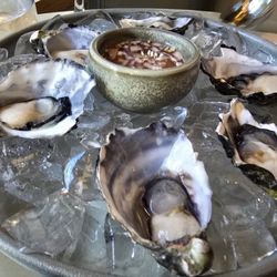 Goldfinch - Pacific Oysters (6)