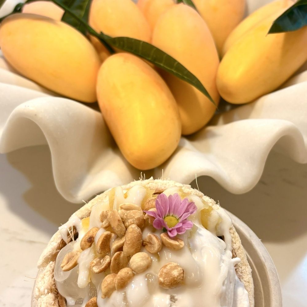 Cococello - Coconut ice cream with palm seeds and sweetened pineapple - Ice Cream & Frozen Yogurt Near Me - St Petersburg, Florida