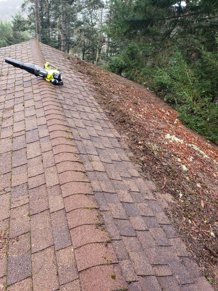 Slide of Coastline Chimney Service