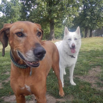 Wickersham's K-9 Ranch - Pen 1 Large pens shade. - Pet Sitting Near Me - Marshville, North Carolina Wickersham's K-9 Ranch - Pen 1 Large pens shade. - Pet Sitting Near Me - Marshville, North Carolina