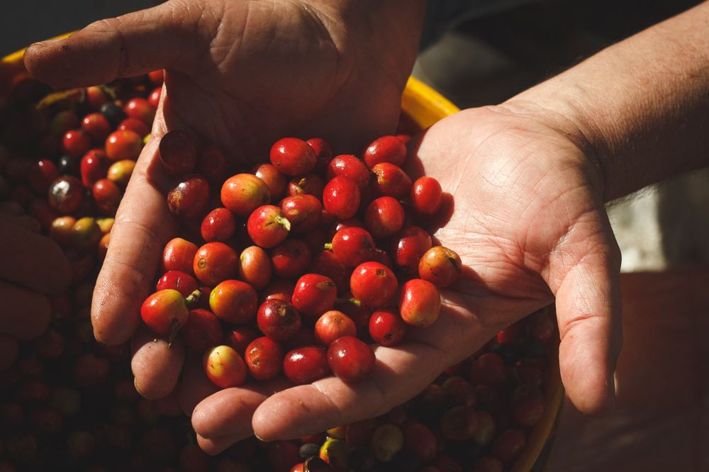 Melton Trading Co Image