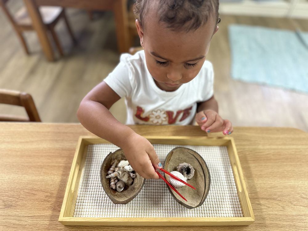 Country Day Montessori School - childcare center in San Antonio, TX