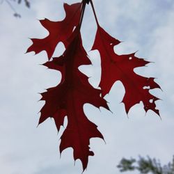 Eichtalpark - Herbst im Eichtalpark